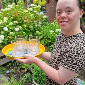 Limonadeglazen (set van 6)