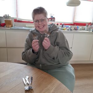 Gebaksvorkjes (set van 12)